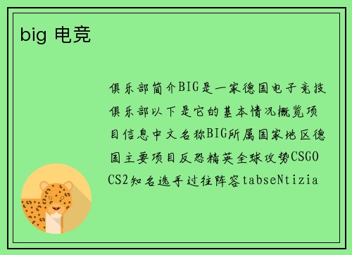 big 电竞